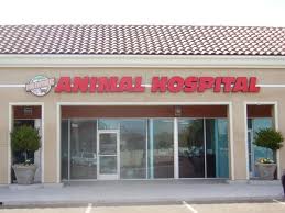 Animal Hospital Animal Hospital