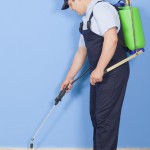 Get Effective Bed Bug Removal in Chula Vista