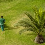 landscape contractors Appleton
