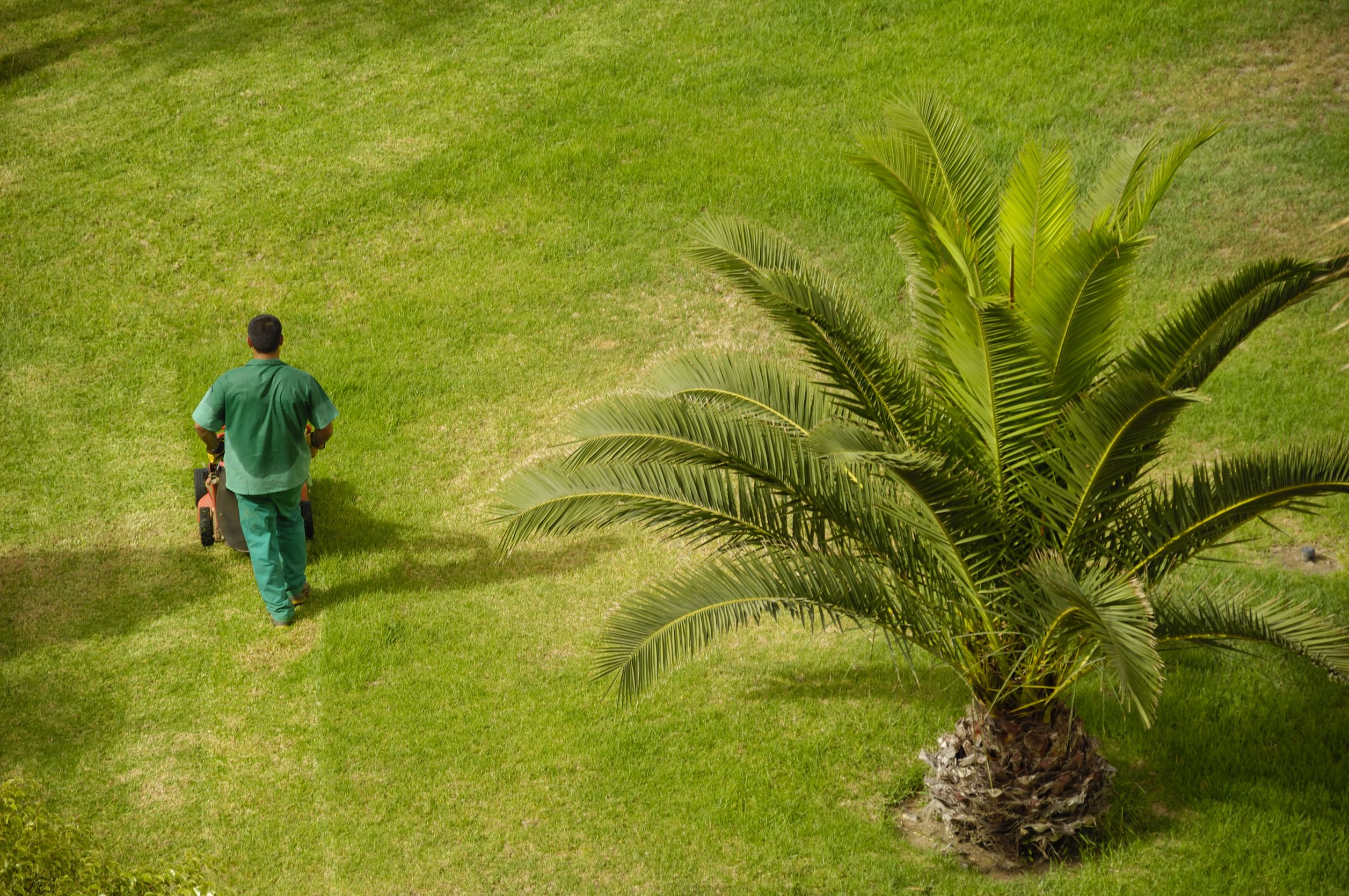 Why Homeowners Value Grounds Maintenance Gaithersburg MD for Lasting Lawn Health