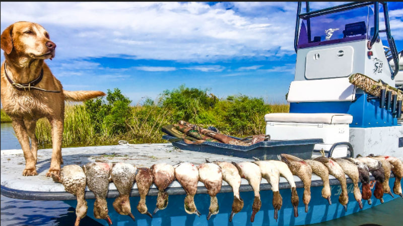 Factors to Consider when Planning a Hunting Trip