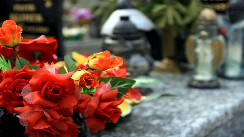 Cremation Cost in Scranton, PA, and Other Factors Show That a Burial is Not Always Best