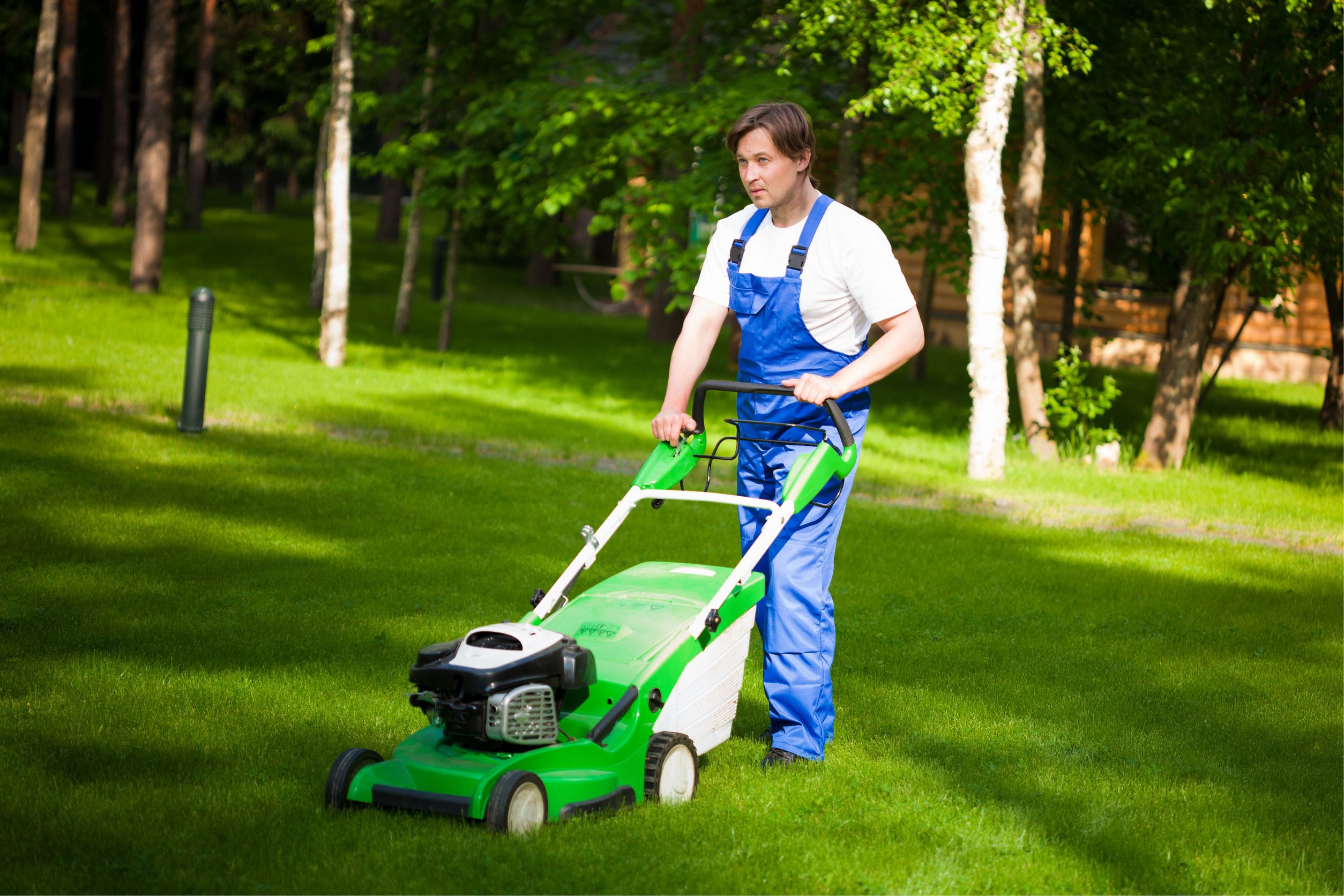 Keep Your Yard Pristine Using Landscape Maintenance Services in Reading, PA