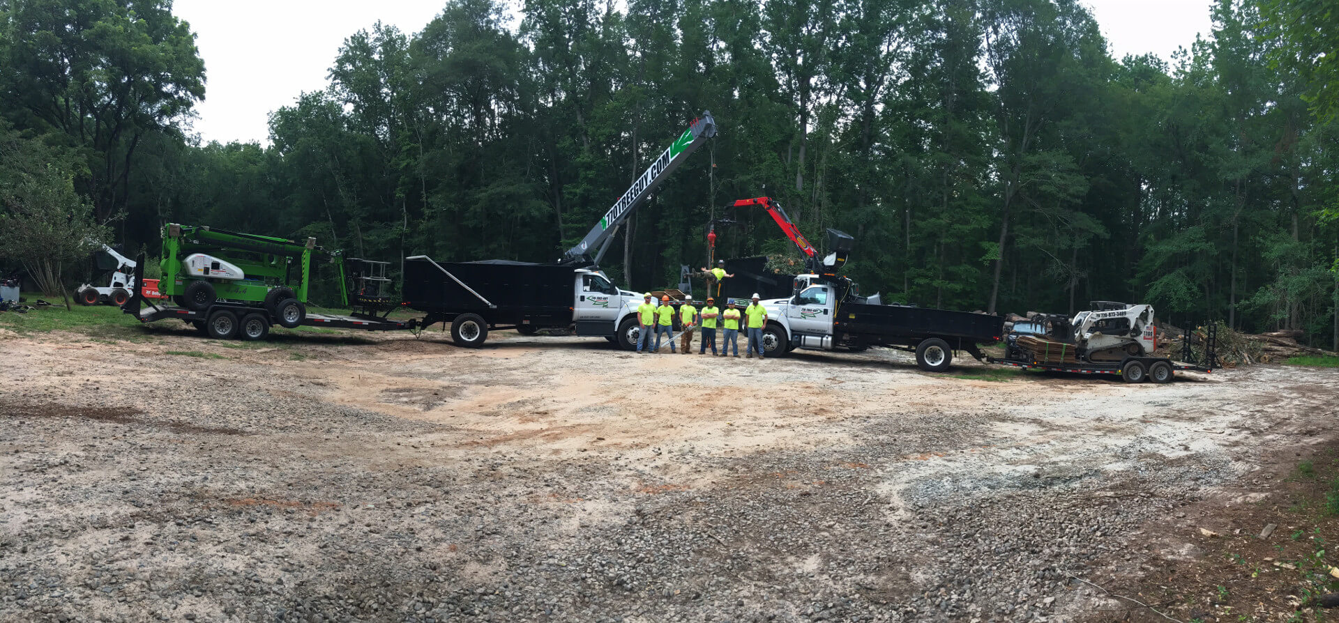 Keep Your Trees Healthy and Beautiful with Tree Services