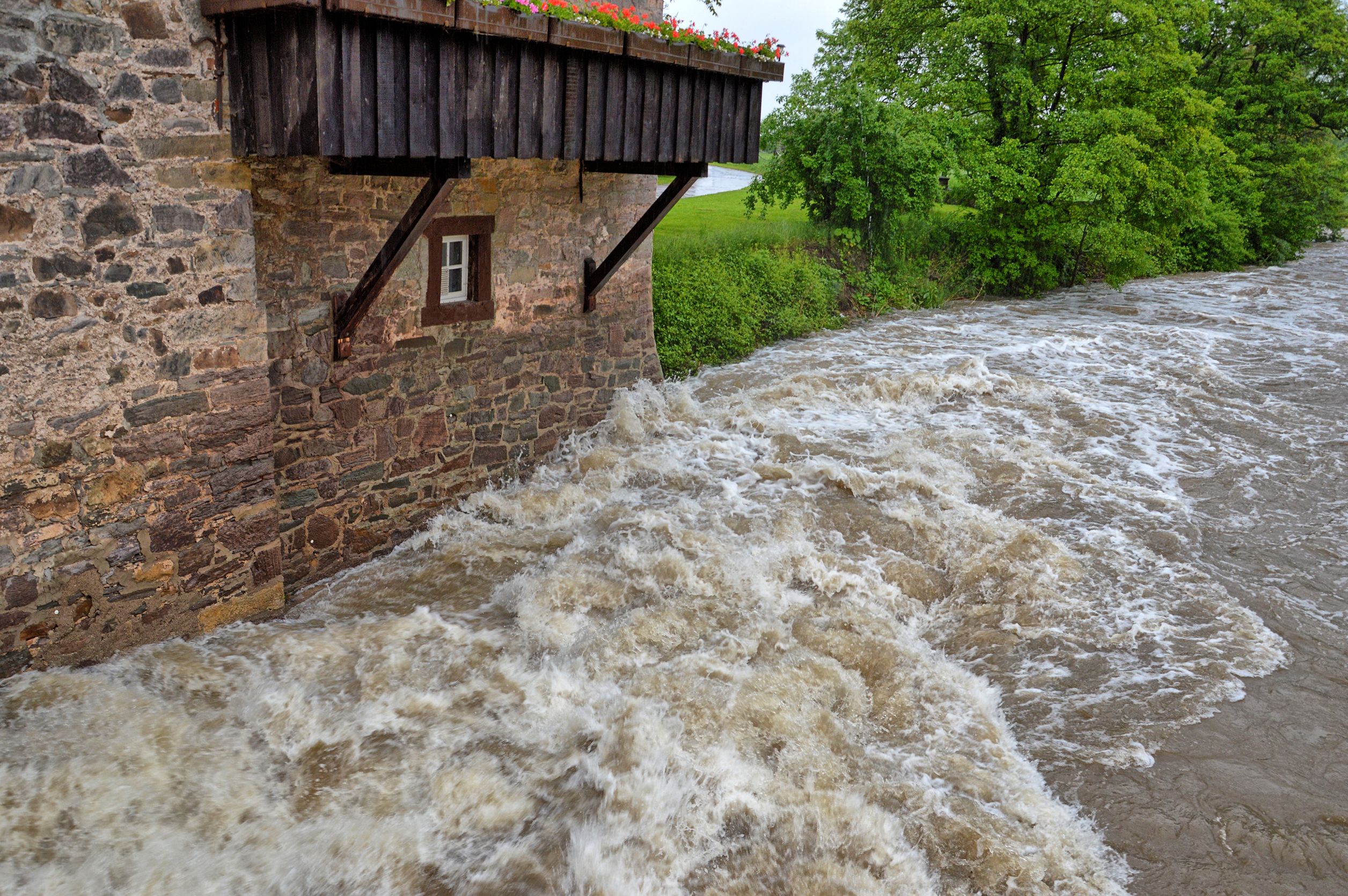 Advice from Water Restoration Companies in Albuquerque NM
