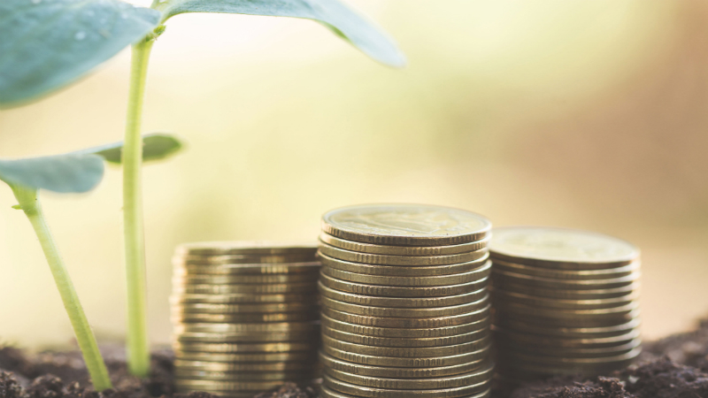 Bitcoin Wallets for Beginners