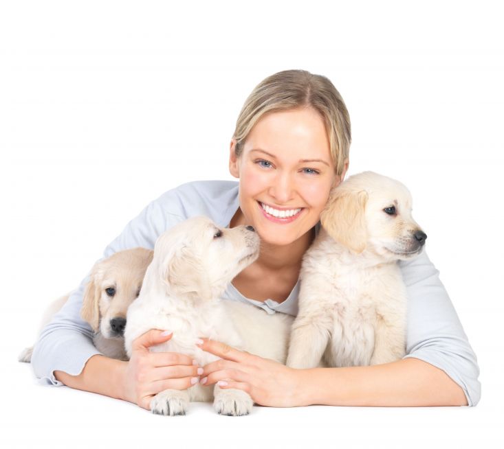 What Options Are Available Through Dog Day Care In Omaha, NE?