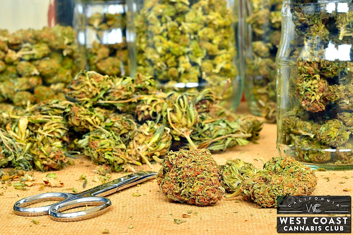 Five Essential Reasons to Use a Legitimate Medical Cannabis Dispensary