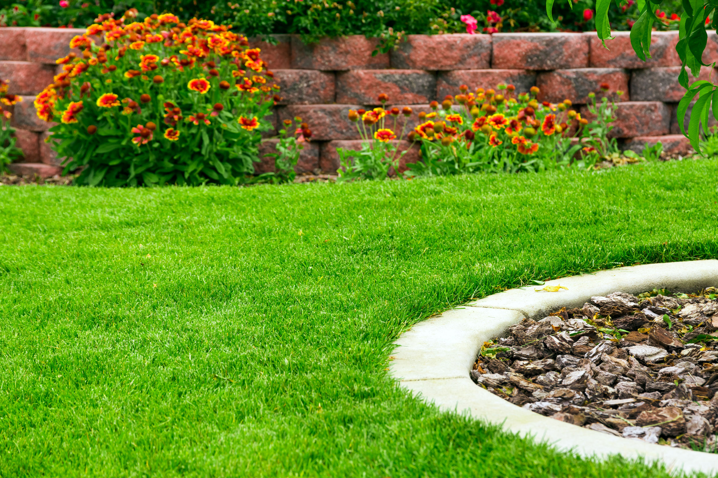 Overseeding, Fertilizing and Performing Weed Control in Spokane to Improve a Residential Lawn