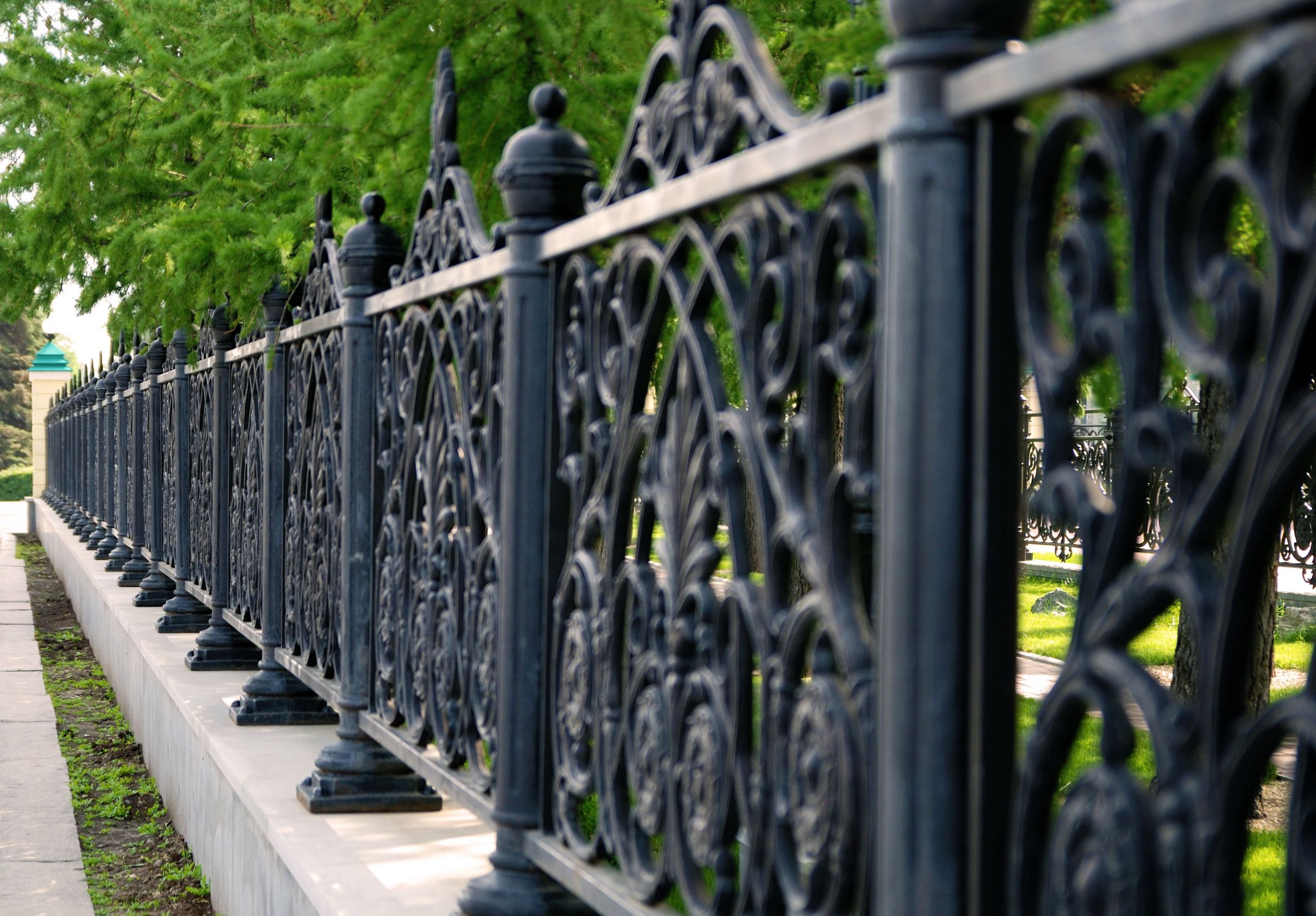 Achieving Privacy With Plants and a Wrought Iron Fence in Riverside