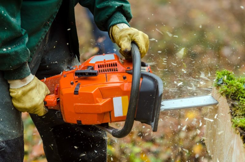 Why You Should Have a Professional Help with Stump Grinding in Arlington