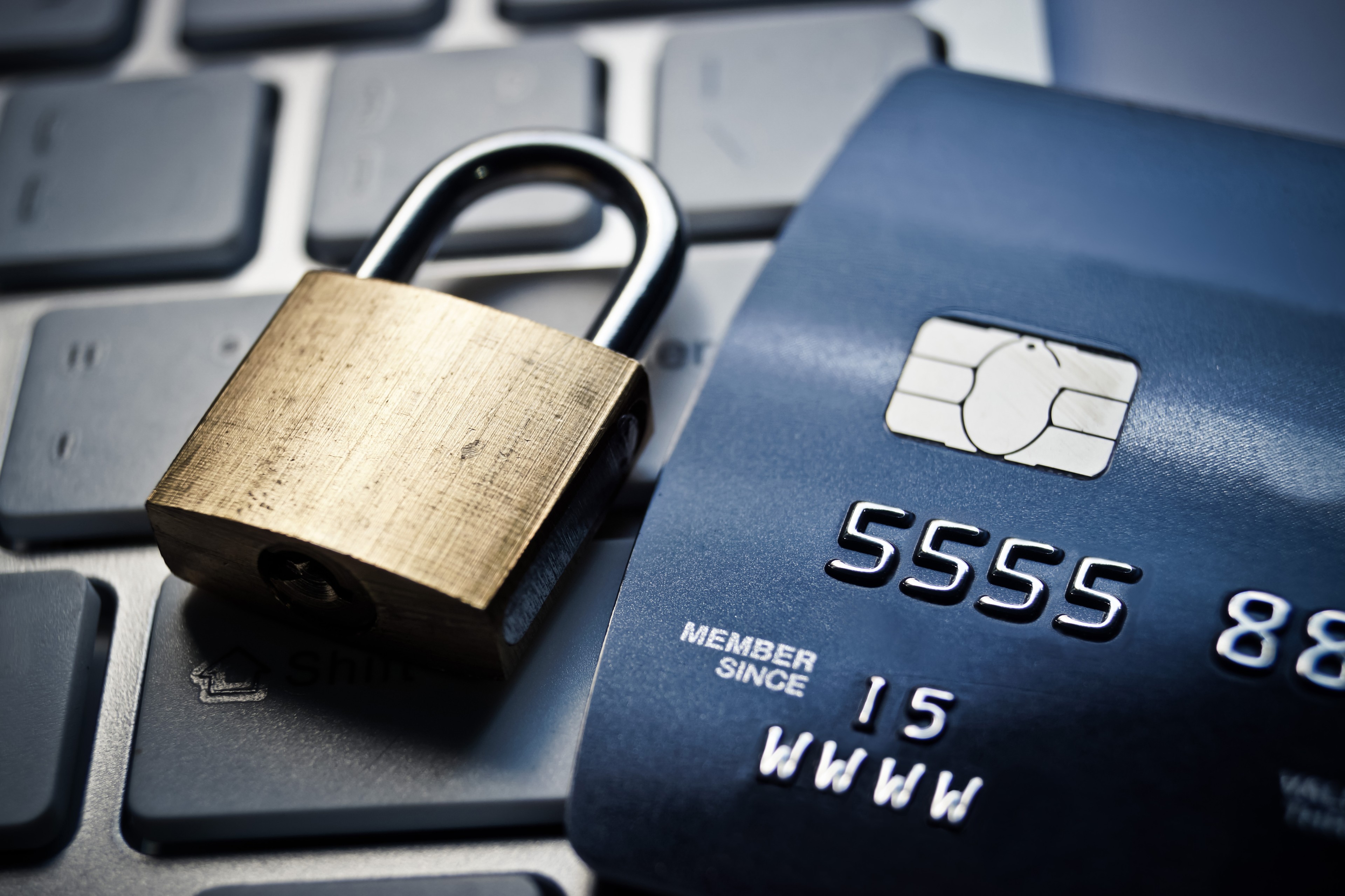 Dependable Online Merchant Services