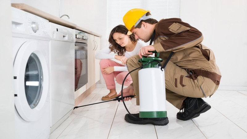 3 Reasons To Provide Residential Pest Control Services To Your Tenants