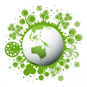 The Importance of Food Safety Certification