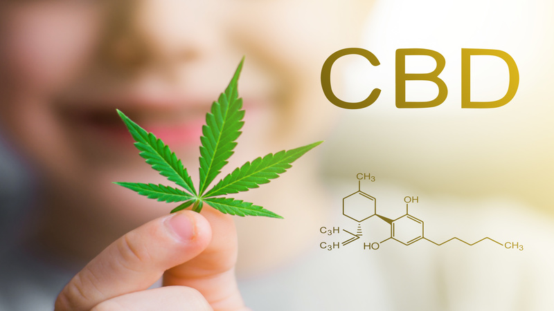 Assistance In Choosing The Right Cannabis Extraction Facility Equipment