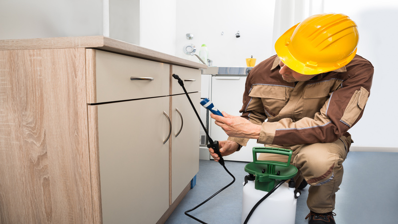 Effective Bed Bug Treatment in Tell City, IN: Protecting Your Home and Health