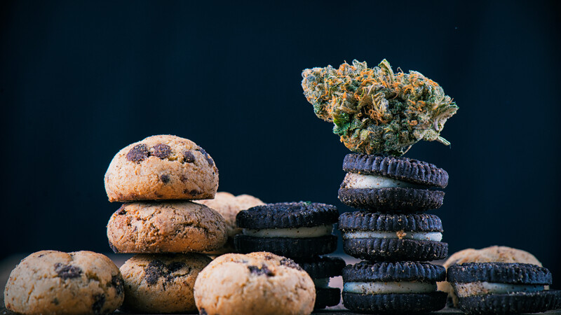 Quality Local OG-Inspired Cookies on Sale in Oxford MS: Budtenders’ Choice