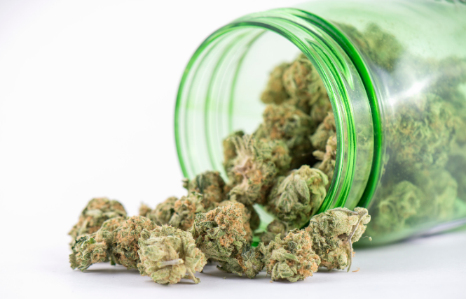 Escaping a World Full of Negativity in NC: Why You Should Consume Cannabis
