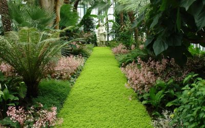 Transforming Outdoor Spaces – The Future of Commercial Landscapes in Cook County, Illinois