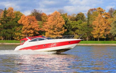 Magnificent Giants – Monterey Bay’s Whales