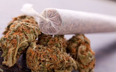 Experiencing the Vibrant Smoke Shop Scene in Birmingham, AL