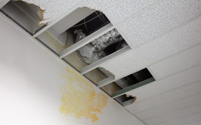 Say goodbye to mold and moisture: Crawl space encapsulation in Little Rock, AR