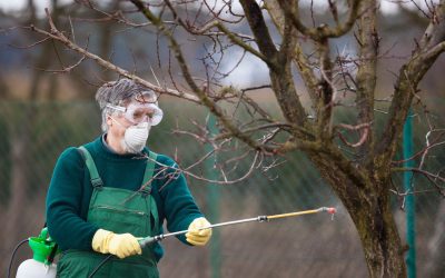 Enhance Your Lawn Care Efficiency with a Fertilizer Spreader for UTV
