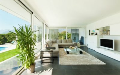 Bringing nature inside: The top indoor plants in Miami for every home and office