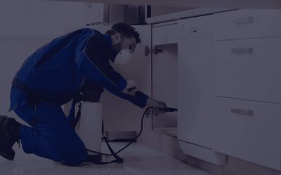 Home Pest Control Newnan, GA: Create a Healthier, Safer Living Environment with Proactive Pest Management Services