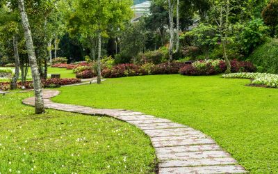 Concrete Curb Landscape Edging Cambridge WI Enhances Curb Appeal and Reduces Landscape Maintenance