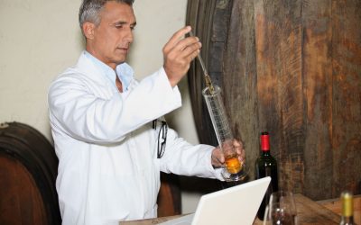 Take a Delicious Adventure; Visit an Urban Winery in San Diego, CA