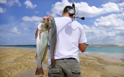 Find Your Outdoor Adventure Bliss With Customized Fly Fishing Trips in Montana Anglers Love