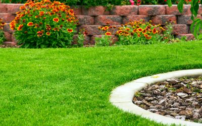 Reliable Commercial Landscape Service in Lake Elsinore, CA