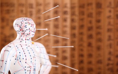 Personalized Wellness Awaits Using Acupuncture For Pain In Bellingham, WA: Techniques