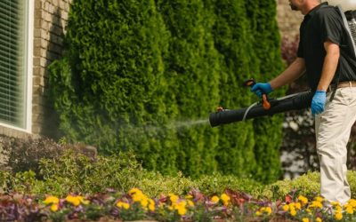 Achieve a Pristine Lawn with a weed control company Huntsville AL, homeowners trust for effective solutions