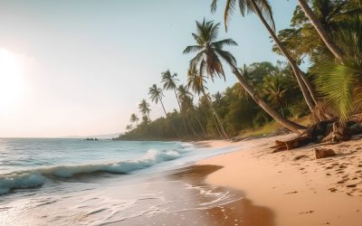 Unwind And Relax: Discover Top Things To Do In Coeur D’Alene ID Throughout Every Season