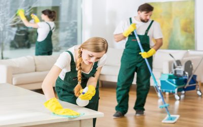 Discover Top-Notch House Cleaning Services in Yardley, PA