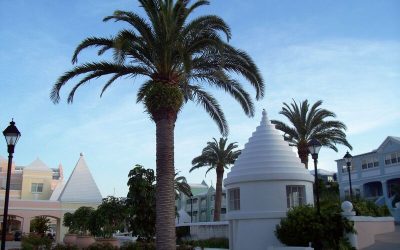 Experience Resort-Style Amenities with the Best Apartments Miami FL Residents Love