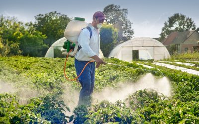 Reducing Costs With Effective Aquatic Weed Control Solutions for Waterfront Properties