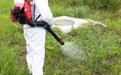 Safeguard Your Family Through Reliable Exterior Pest Control Land O Lakes FL Treatments