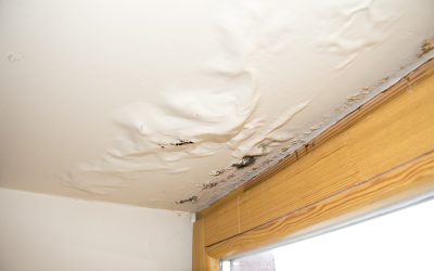 Save Your Home Faster with Emergency Water Damage Restoration Riverside CA Experts