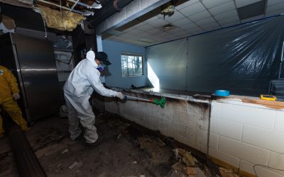 How to Protect Your Home with Water Damaged Floor Repair Macon, GA, Solutions