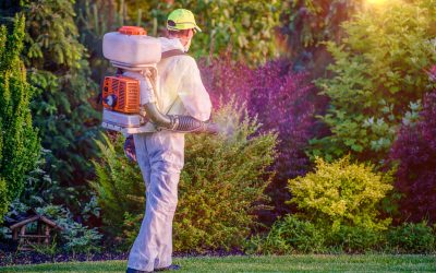 Enjoy outdoor living by using mosquito control Gainesville, VA, for healthier spaces