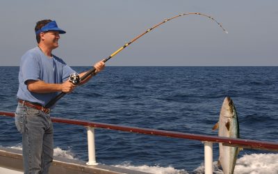 Experience Prime River Adventures with Guided Fly Fishing in Bristol, TN for Unforgettable Catches