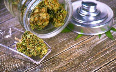 Experience Smoother Sessions with THCA Mini Infused Pre Rolls for Your Next Relaxing Evening
