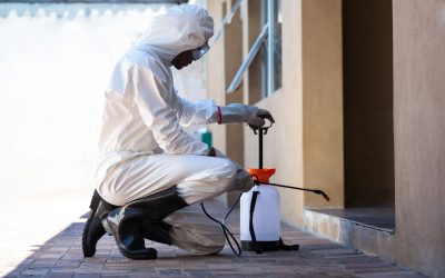 Prevent Costly Damage with Reliable Residential Pest Control Morris County, NJ Services