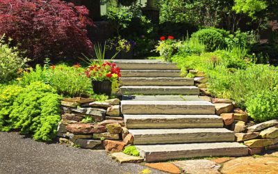 Enhance Your Curb Appeal with Concrete Curbing in Columbus, WI