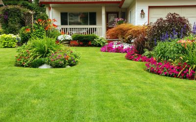 Save Time and Money With Expert Lawn Care Services Fort Mill SC Residents Prefer