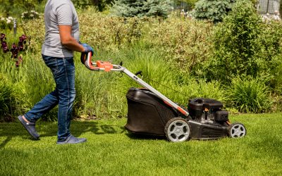 How Tree and Shrub Care Services in Charlestown, IN Boost Curb Appeal