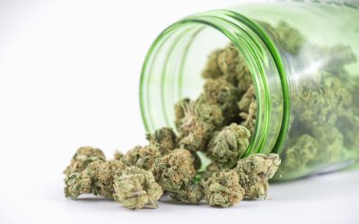 Tips to Buy Weed Rochester NY Safely and Legally for the Best Experience